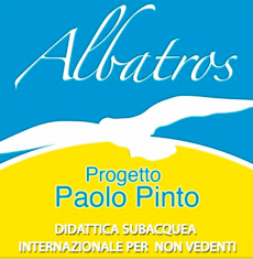 Albatros Paolo Pinto