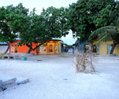 Maldive | 14
