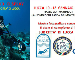 Lucca Foto Sub Display