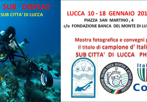 Lucca Foto Sub Display