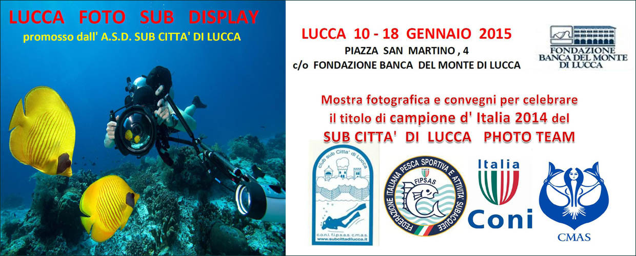 Lucca Foto Sub Display