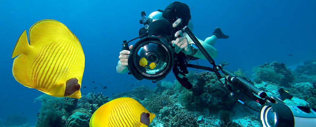 Scatti di Mare