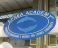 APNEA ACADEMY