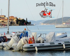 Diving in Elba