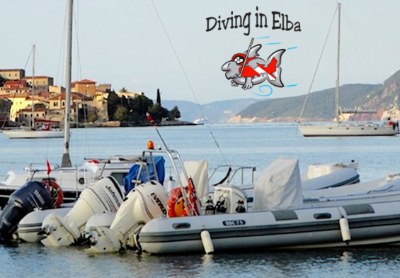 Diving in Elba