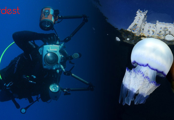International Underwater Photo Contest