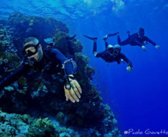 SideMount - Mar Rosso