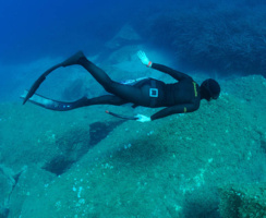 La pratica dell'apnea in mare, senza altro motivo se non quello di immergersi trattenendo il respiro, si diffonde sempre più