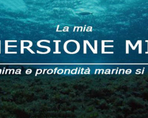 Immersione mille
