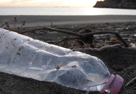 Il problema della marine litter