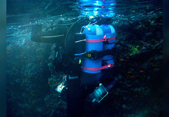 Lo speleosub in foto è Fabio Barbieri, noto esperto della zona, il primo ad averne mappato le grotte, autore di numerose pubblicazioni in tema e contitolare del Centro Palinuro Sub. Né lui, né il suo diving hanno mai avuto problemi e non sono tra i coinvolti in questo incidente