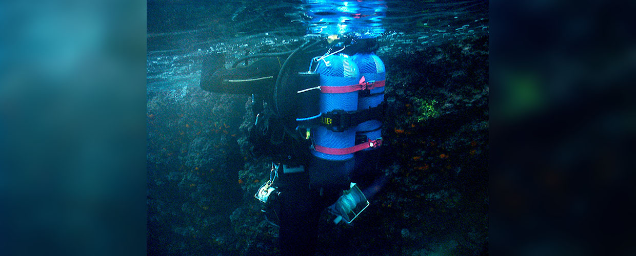 Lo speleosub in foto è Fabio Barbieri, noto esperto della zona, il primo ad averne mappato le grotte, autore di numerose pubblicazioni in tema e contitolare del Centro Palinuro Sub. Né lui, né il suo diving hanno mai avuto problemi e non sono tra i coinvolti in questo incidente