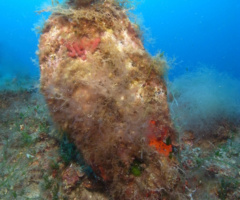 Alla ricerca della nacchera perduta - 06