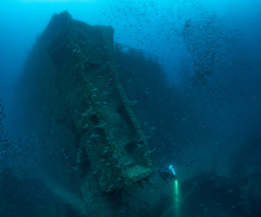 serial_diver-2_Ph Marco MORI