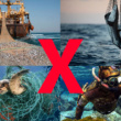 Basta pesca per gioco!