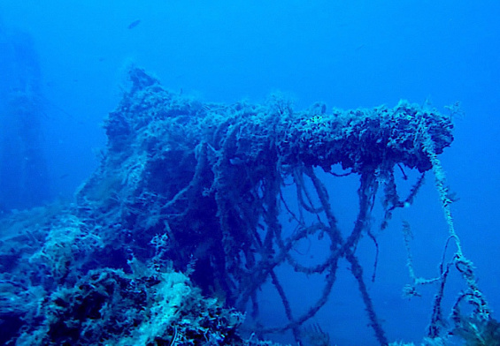 Il cannone di poppa del Veniero (sommergibile classe Barbarico del 1919), affondato nel 1925, come si presenta oggi sul fondale al largo di Marzamemi in Sicilia