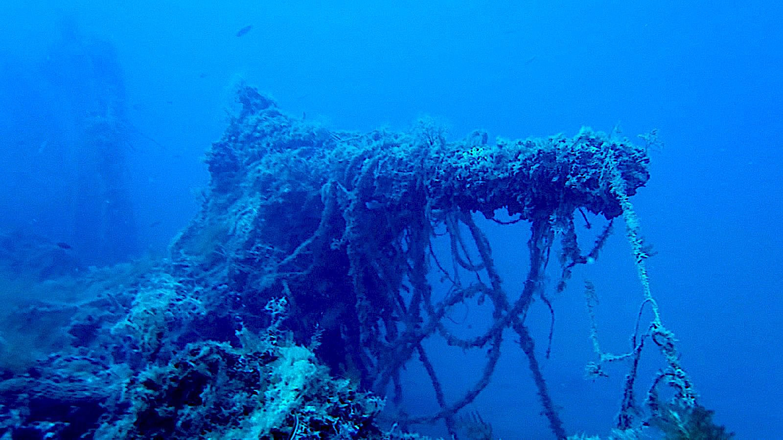 Il cannone di poppa del Veniero (sommergibile classe Barbarico del 1919), affondato nel 1925, come si presenta oggi sul fondale al largo di Marzamemi in Sicilia