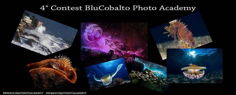 Il “4° Blu Cobalto contest” e il “Premio Duilio Marcante 2018”