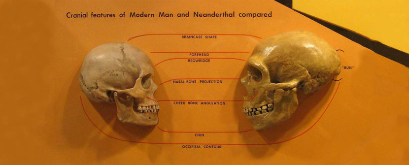 L’immersione dei Neanderthal